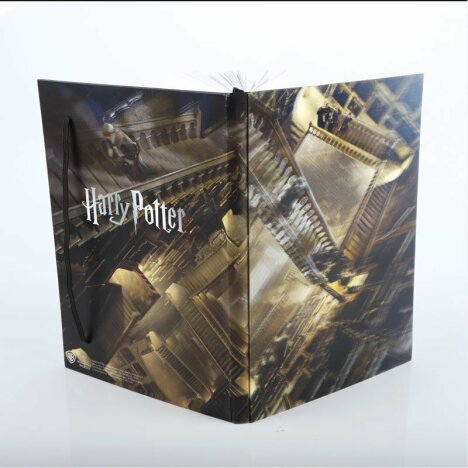 Agenda/Jurnal cu coperti 3D licenta Harry Potter -